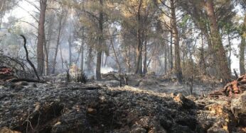 Altofonte e l’incendio della Moarda, ipotesi sgombero case