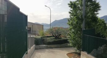 Pioppo. Atti vandalici per gli alberi piantumati nel ricordo di Umberto Bonomo e Angelo Bruno