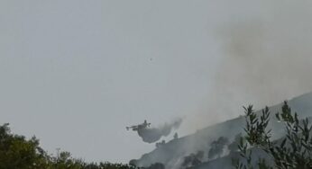 A Monreale percettori del reddito di cittadinanza contro gli incendi