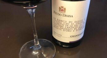 Eccellenze monrealesi, il Lu Bancu di Feudo Disisa tra i “Vini buoni d’Italia