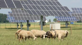 A Monreale un mega impianto fotovoltaico di 400 ettari, una società tratta i terreni