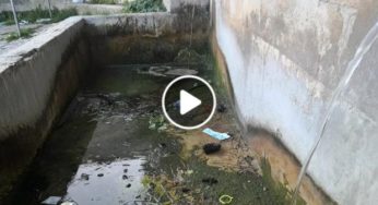 Monreale, la fontana dell’Abbeveratoio trasformata in porcile (VIDEO)