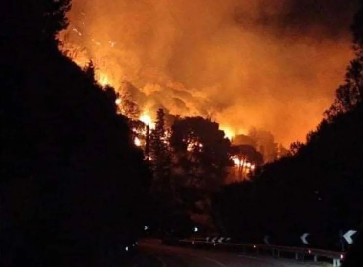 Brucia Casaboli da questa notte, il Canadair arriva alle 11.30