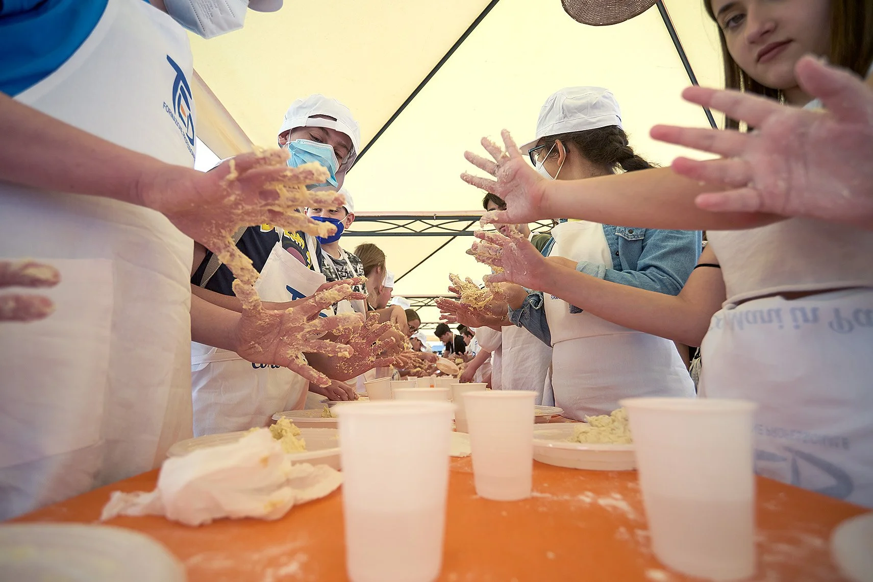 Imparare divertendosi, Ted Formazione coinvolge 250 studenti monrealesi