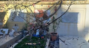 Albero rischia di cadere sulle tombe, intervento al Cimitero di Monreale
