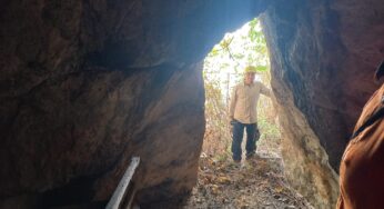 Scoperta una grotta a Monreale, sorpresa per i forestali (VIDEO)