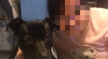 Monreale, 1000 euro per trovare Raul, l’amico di una ragazzina disabile