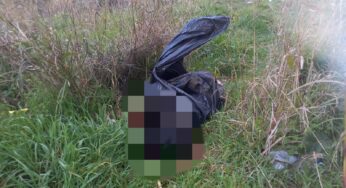 Inciviltà a Monreale, cane morto abbandonato in un sacco nero