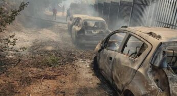 Incendi a Monreale, il Comune invita i cittadini danneggiati a segnalare i danni subiti