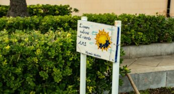 Un ulivo per non dimenticare: a Monreale la memoria di Andrea, Massimo e Salvo mette radici