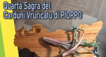 Pioppo celebra il “carduni vruricatu” con la 4ª edizione: gusto, cultura e identità territoriale a farne da protagonisti!