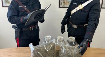 Partinico, operazione antidroga dei Carabinieri: trovati due chili di marijuana in un garage, un arresto